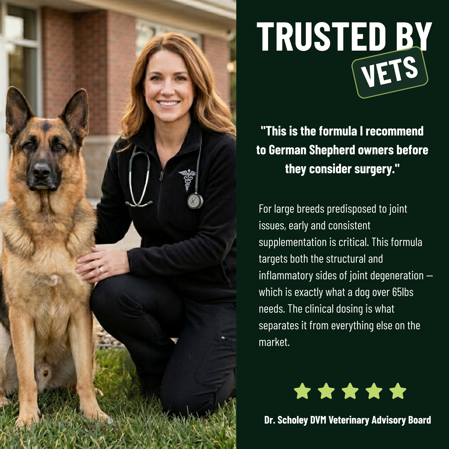 Protect your German Shepherd from costly vet bills & hip and joint pain