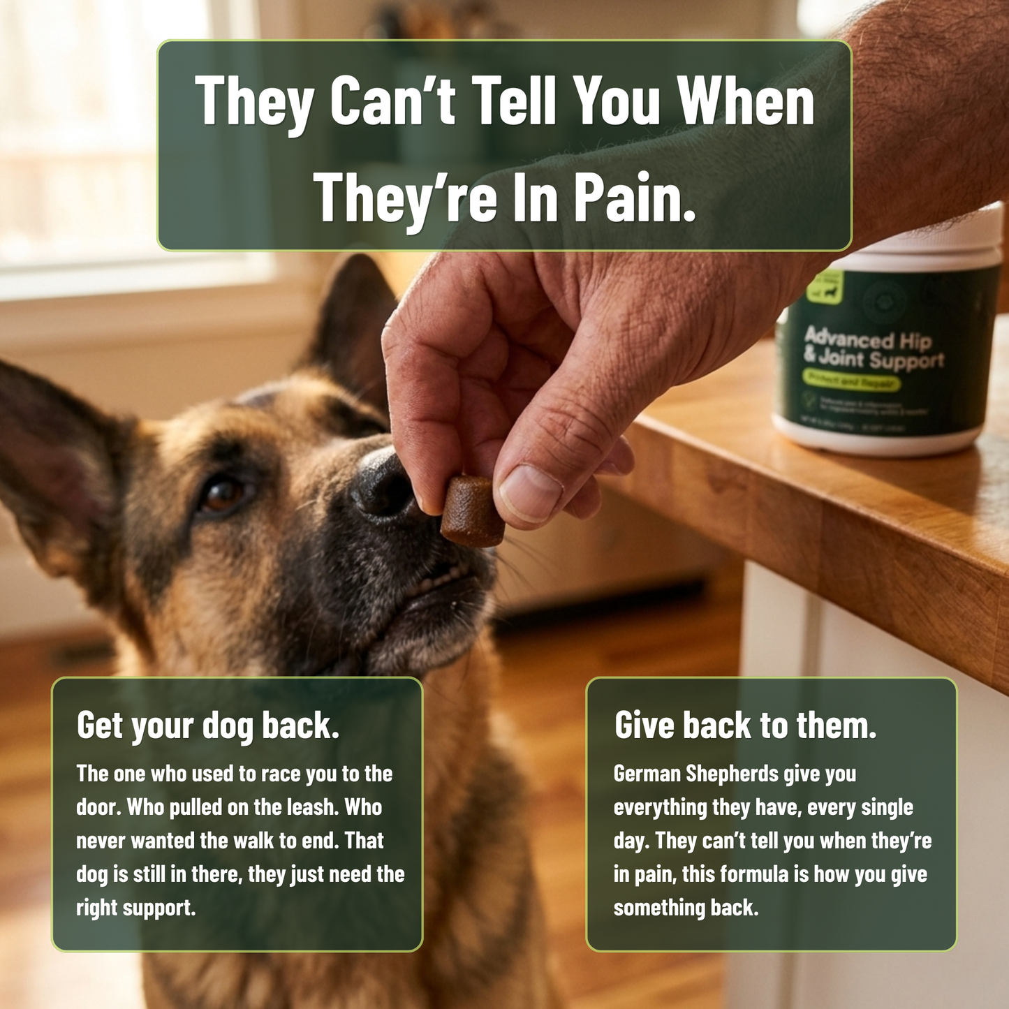 Protect your German Shepherd from costly vet bills & hip and joint pain