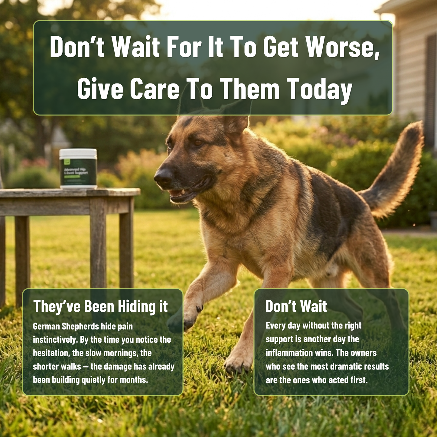 Protect your German Shepherd from costly vet bills & hip and joint pain